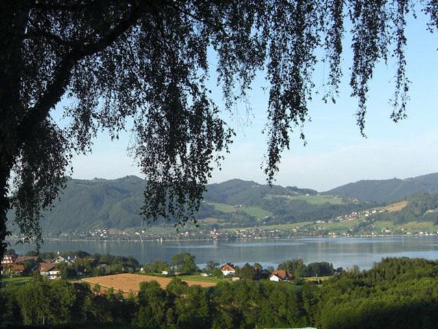 Seeblick 2*
